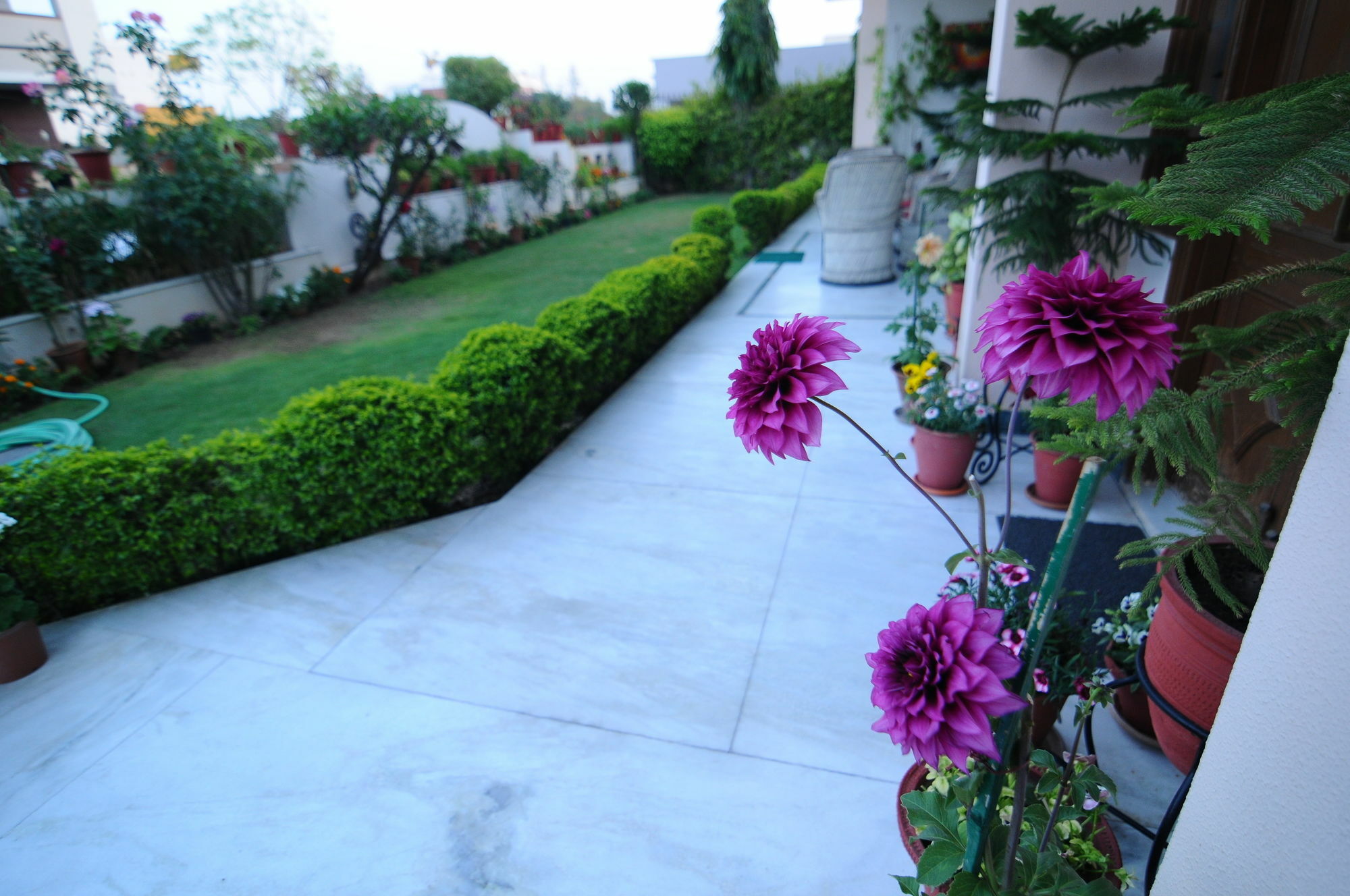 Jaipur Friendly Villa Bagian luar foto